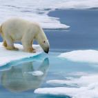 En pleno oc&eacute;ano Glacial &Aacute;rtico se encuentra el archipi&eacute;lago de las islas Svalbard, siendo Longyeabyen el mayor de sus asentamientos, con unos 2.000 habitantes. Entre osos polares, perros de nieve y un hielo permanente, ...