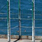 Dos jóvenes migrantes nadan hasta Ceuta.