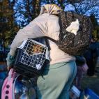 Una refugiada ucraniana llega con sus pertenencias y su mascota a Hungría