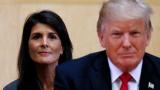 Nikki Haley se cae de la carrera republicana tras ser arrollada por Trump en el 'Supermartes'