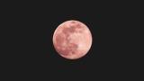 Luna rosa: este es el significado detrás del nombre de la luna llena de abril