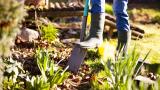 La típica combinación de plantas en jardines españoles que es un imán oculto de enfermedades y parásitos
