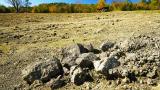 Un niño de 14 años pasea por el parque, tropieza con lo que parece una piedra y con un gesto se hace millonario