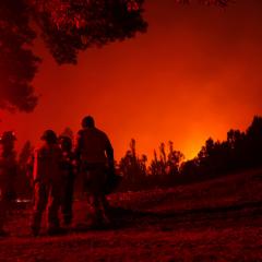 Al menos diez detenidos por la ola de incendios en Chile, que dejan ya 24 personas muertas