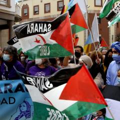 El Congreso tramitará la ley para otorgar la nacionalidad española a los saharauis