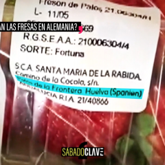 Compran fresas de Huelva en un súper de Madrid y en otro de Berlín: la diferencia de precio es tela