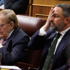 Bulo de Santiago Abascal sobre el coronavirus en la moción de censura: 