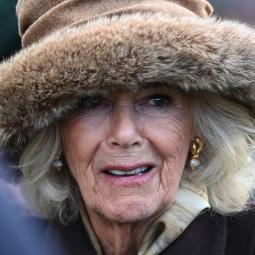 La reina Camila escribió personalmente a Gisèle Pelicot para expresarle su apoyo