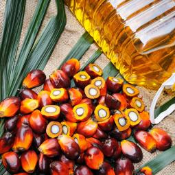Las autoridades van al supermercado y lanzan alerta tras destapar el plan oculto para reintroducir el aceite de palma