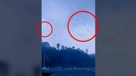 Una 'lluvia de peces' provoca un gran asombro entre la gente tras el paso de un tornado