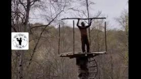 Construye una casa completa en un árbol y el resultado deja sin palabras