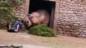 El momento en el que una persona es atacada por el animal más peligroso de África y logra escapar sin un rasguño