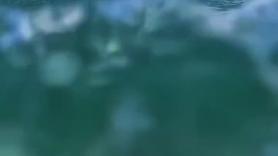 Quería grabar una ola mientras surfea y consigue una obra maestra
