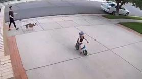 Este niño pasa cada día por casa de un vecino y lo que hace este conmueve a todos