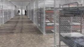 Vídeo del interior de 'Alligator Alcatraz', la cárcel para migrantes rodeada de caimanes de la que presume Trump
