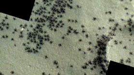 Detectan un asedio de arañas marcianas