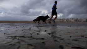 La razón por la que deberías empezar a hacer ejercicio con tu mascota