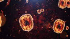 España notifica la primera muerte de mpox desde 2022 en un hombre inmunodeprimido sin vacunar