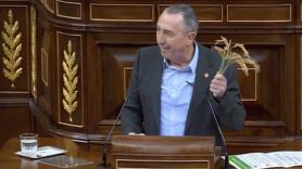 Baldoví retrata al PP con unas espigas de arroz y en sólo tres minutos: "¿No les da vergüenza?"