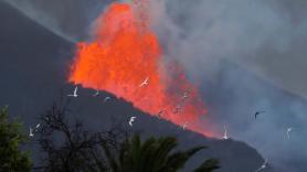 EN DIRECTO: La evolución de la erupción volcánica en La Palma