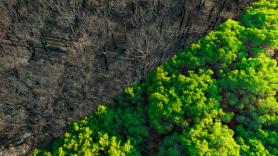 El espectacular cambio del planeta desde 1984 hasta 2022: sequía, deforestación y cambio climático