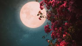 Luna de las flores 2024: cuándo y desde dónde ver la luna llena de mayo