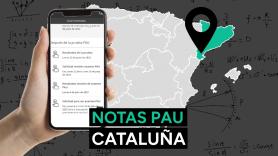 Notas PAU Cataluña 2025: resultado de los exámenes