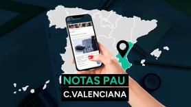 Notas PAU Comunidad Valenciana 2024: resultado de los exámenes de la selectividad