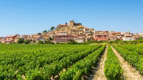 Día de La Rioja 2023: ¿por qué es festivo el 9 de junio?