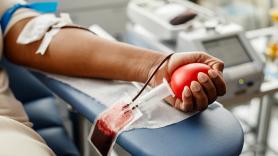 Ni los más jóvenes ni los más pequeños: este es el perfil más habitual del donante de sangre en España