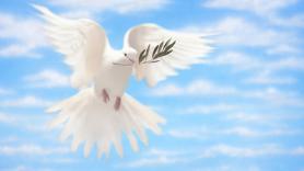 Día Internacional de la Paz 2023: significado y origen del símbolo más antiguo