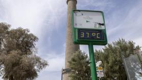 2024 fue el año más cálido y el primero con temperatura 1,5 grados superior al nivel preindustrial