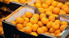 Una nueva mandarina sin semillas del extranjero pone de los nervios a España