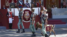 La cabra de la Legión: rango militar, por qué desfila el 12 de octubre y otras curiosidades