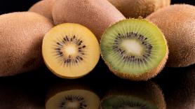 Arropan al kiwi con un innovador paraguas