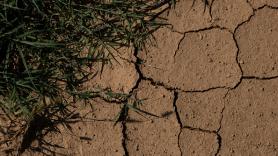La urbanización de ricos que se salta las medidas anti sequía en una de las zonas más secas de España