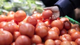 Un catedrático de Bioquímica explica qué está pasando con los tomates en España