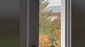 Un español que vive en Alemania se queda sin palabras con lo que ha visto por la ventana de su casa