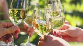 Una experta en vino aclara la diferencia entre un Verdejo y un Rueda