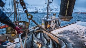 Rusia rompe el acuerdo del pescado con Reino Unido y piden que "pierdan peso"