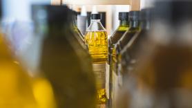 Batacazo de las empresas de aceite de oliva