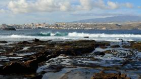 Polonia enciende las alarmas por un gran problema en Canarias: "se han apoderado de las playas"