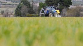 Euforia en el campo español por el nuevo freno a la fruta de Marruecos