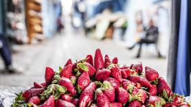 Una nueva alerta por las fresas de Marruecos pone en la mira a España