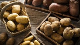 Un experto revela que el mejor lugar para almacenar las patatas es justo el que siempre evitas