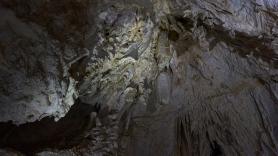 Entran en la cueva de los murciélagos de España con una misión y descubren un tesoro prehistórico
