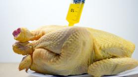 Pablo Ojeda desmonta la mayor estafa del pollo amarillo