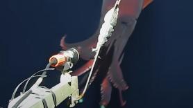 Filman un raro calamar de aguas profundas con grandes 'faros'