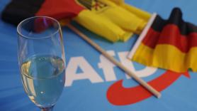 El servicio secreto alemán declara a los ultras de AfD "contrarios a la Constitución" y "extremistas" y abre la puerta a ilegalizarlos