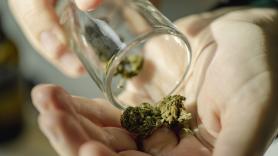 Los expertos opinan sobre las demoledoras conclusiones del 'macroestudio' sobre cannabis y esquizofrenia
